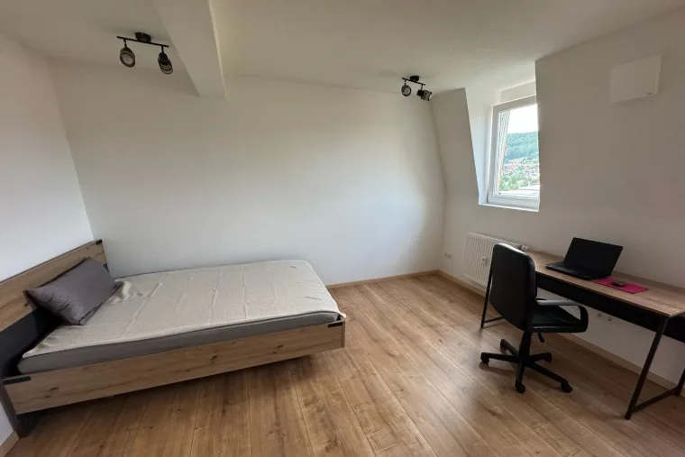 Feuchte und Bausubstanz im Altbau